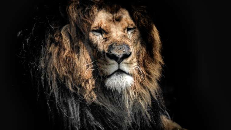 Zsidók 2 – Tényleg, micsoda az ember?