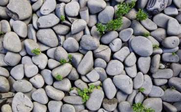 A pergamoni gyülekezet: amit Isten szétválaszt, nem lehet összemosni