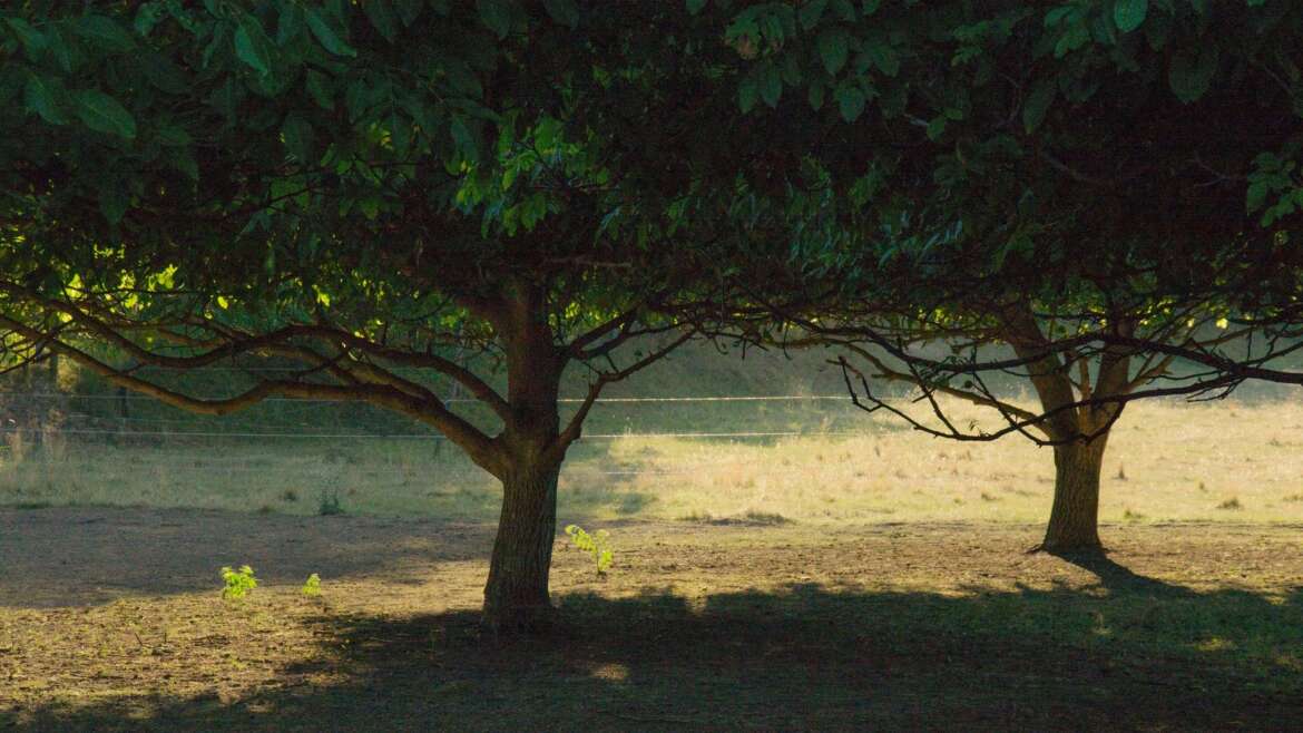 Ézsaiás 30,15-18 