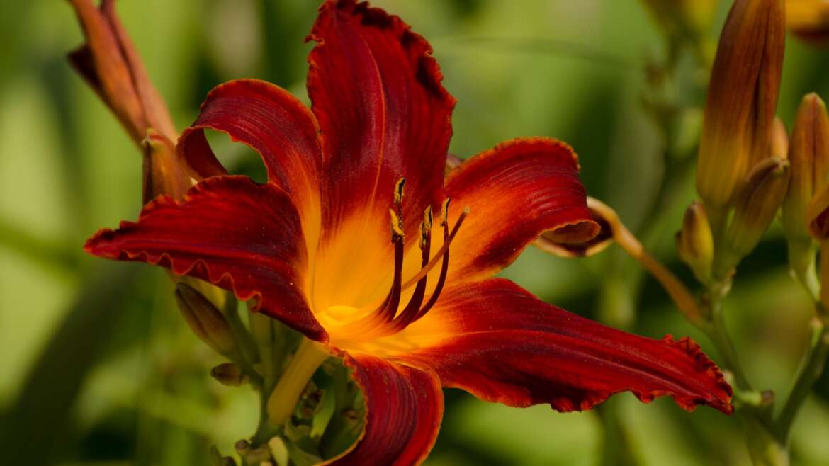 1Korinthus 2,1-5 ; Cselekedetek 18,9-11 