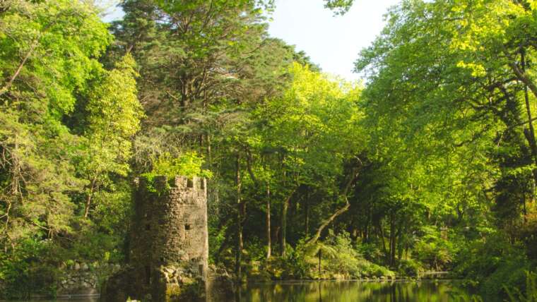 Ezékiel 47,6-12 ; Jelenések 22,1-5 