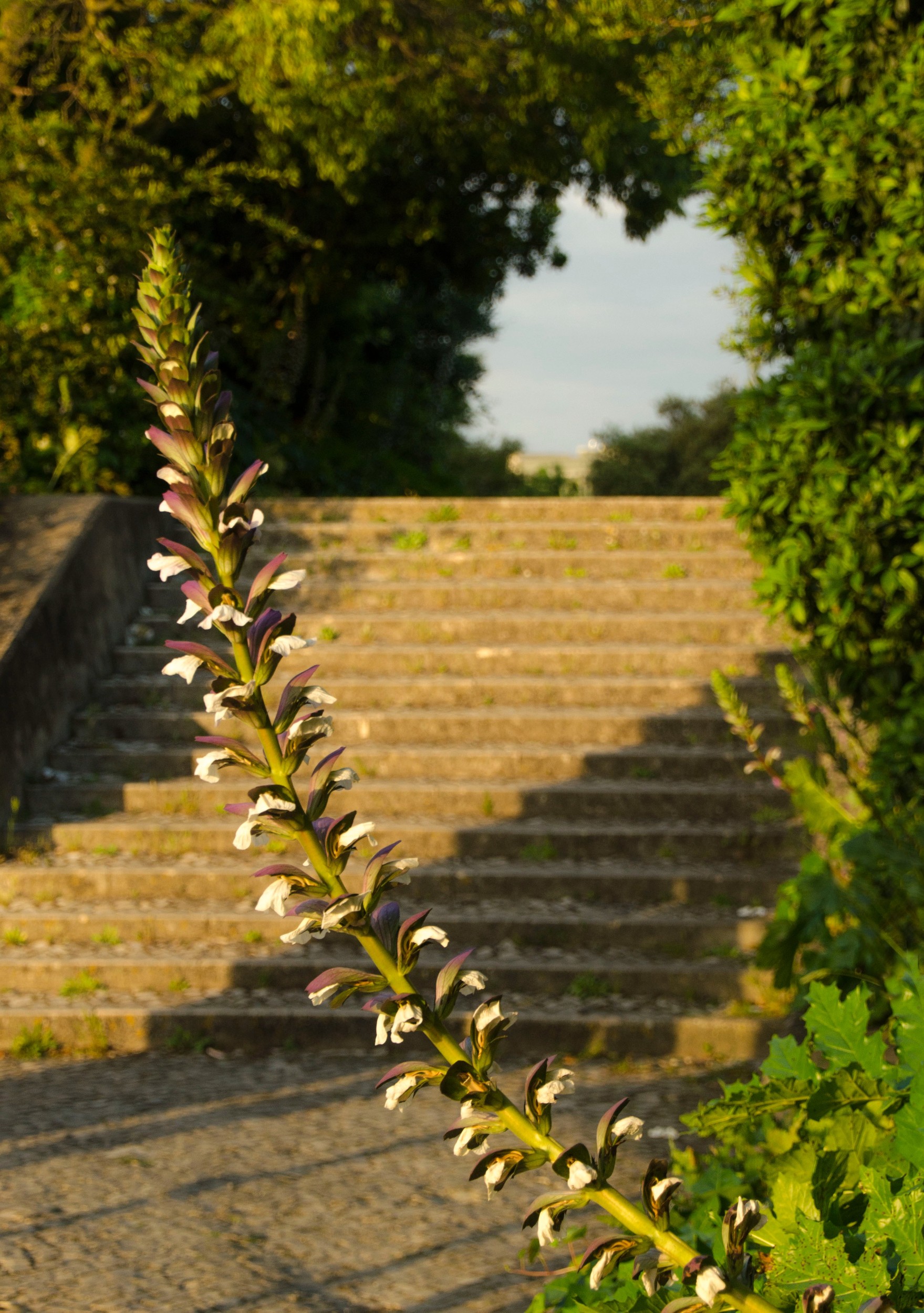 Ezékiel 9:4 ; Jelenések 22:1-5  