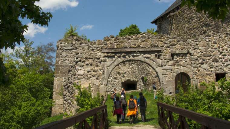 Zsoltárok 24; Kolossé 3,4 