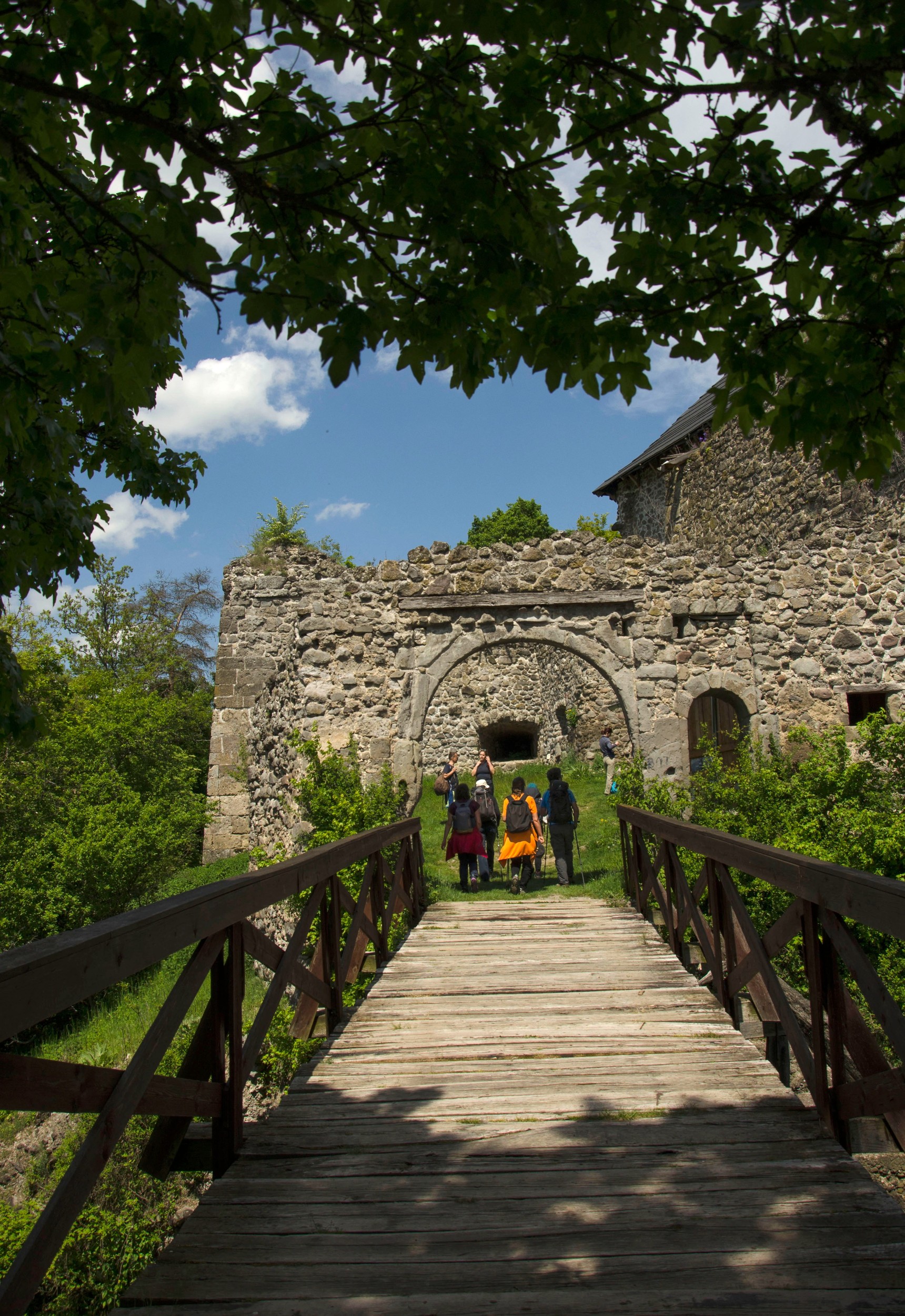 Zsoltárok 24; Kolossé 3,4 